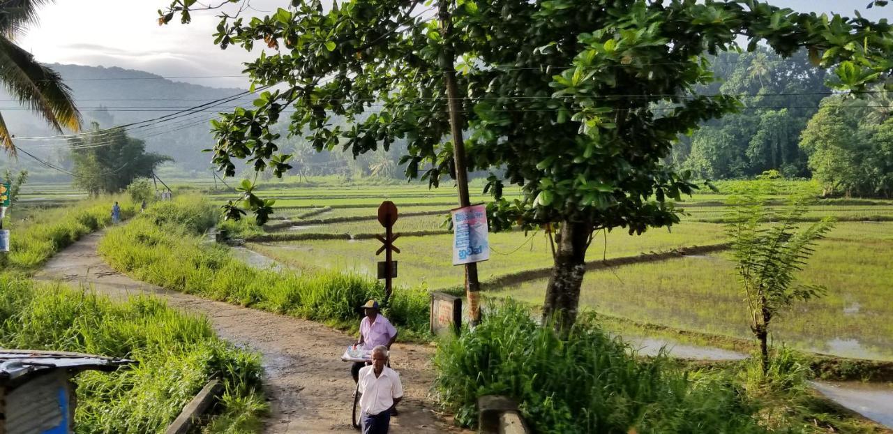 Che'S Villa Kandy Exteriér fotografie